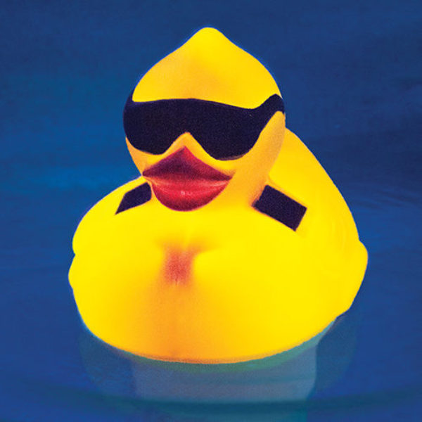 Solar Duck Chlorinator